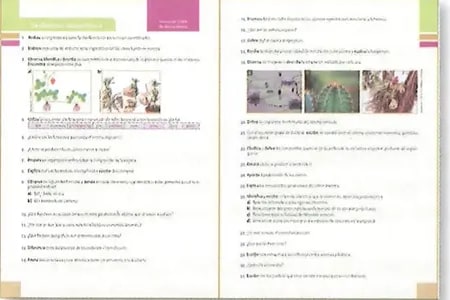 Figura 1 de Ciencias Naturales · 8 EGB · 2025