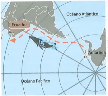Figura 1 de Ciencias Naturales · 8 EGB · 2025
