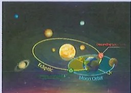 Figura 5 de Ciencias Naturales · 9 EGB · 2024