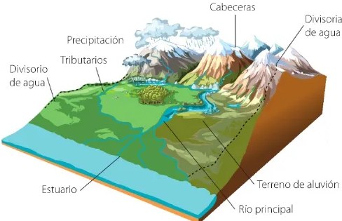 Figura 3 de Estudios Sociales · 6 EGB · 2025
