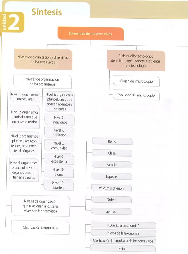 Figura 1 de Ciencias Naturales · 8 EGB · 2025