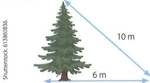 Figura 4 de Matematica · 8 EGB · 2025