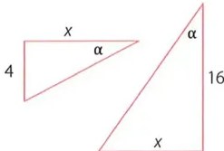 Figura 5 de Matematica · 10 EGB · 2025