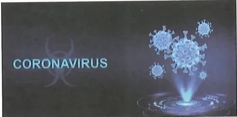 Figura 2 de Ciencias Naturales · 10 EGB · 2024
