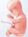 Figura 9 de Ciencias Naturales · 6 EGB · 2025