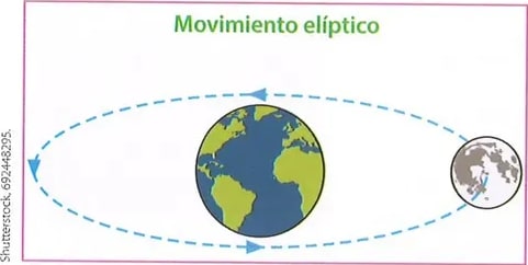 Figura 1 de Ciencias Naturales · 8 EGB · 2025