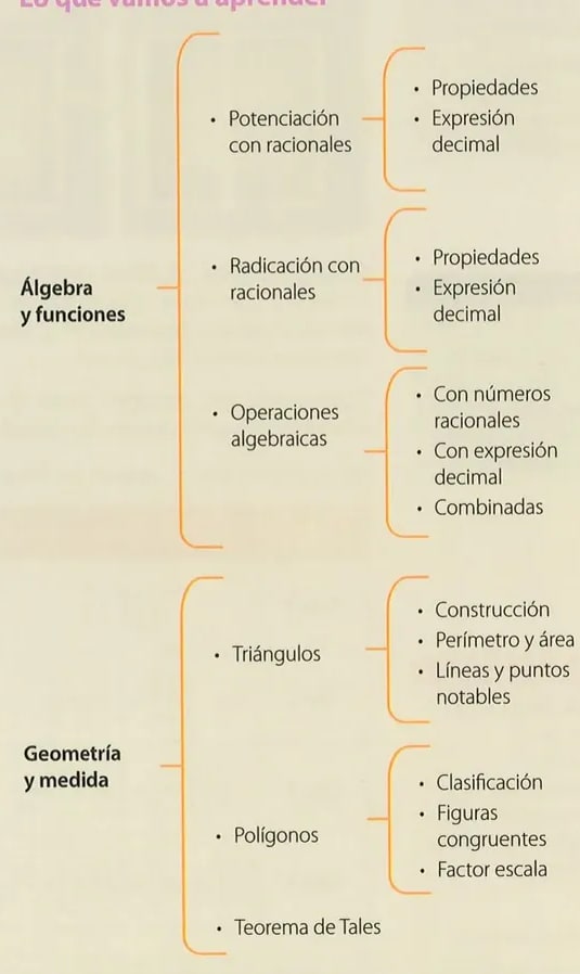 Figura 1 de Matematica · 8 EGB · 2025