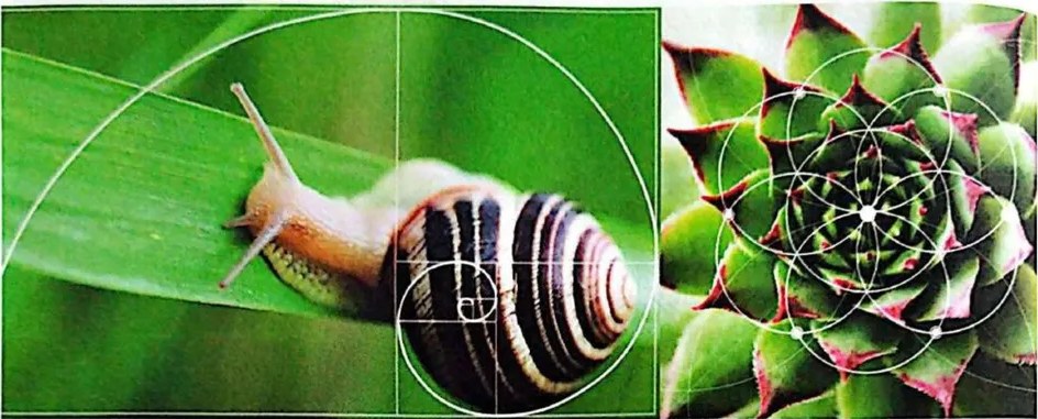 Figura 2 de Matematica · 3 EGB · 2025