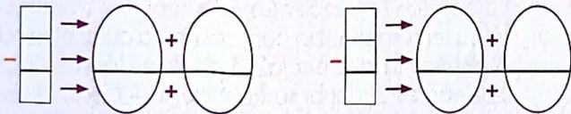 Figura 4 de Matematica · 4 EGB · 2024