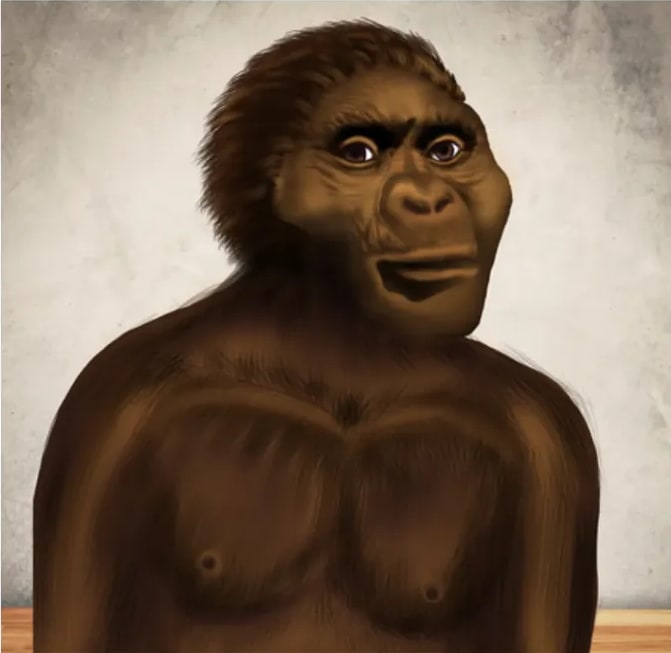 Ilustración de un Homo habilis: figura humanoide oscura con rasgos simiescos sentada sobre superficie de madera.