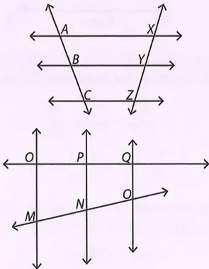 Figura 6 de Matematica · 8 EGB · 2025