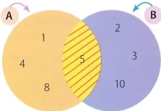 Figura 6 de Matematica · 8 EGB · 2025
