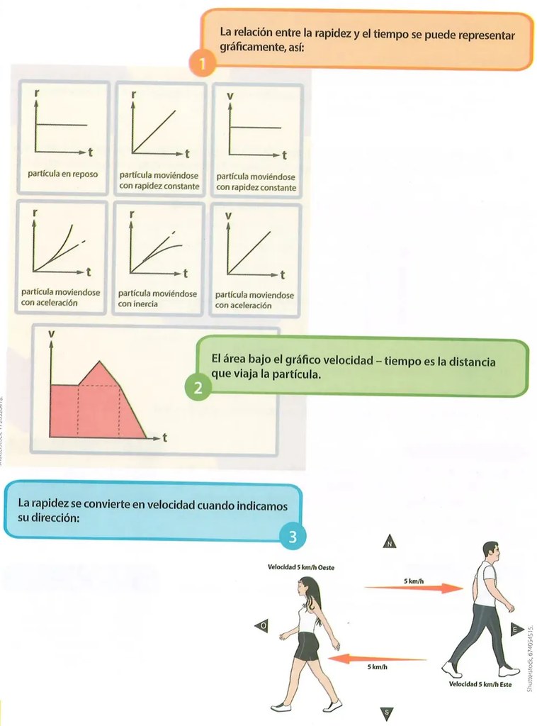 Figura 2 de Ciencias Naturales · 8 EGB · 2025