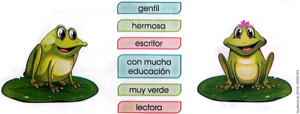 Figura 2 de Lengua Y Literatura · 3 EGB · 2025