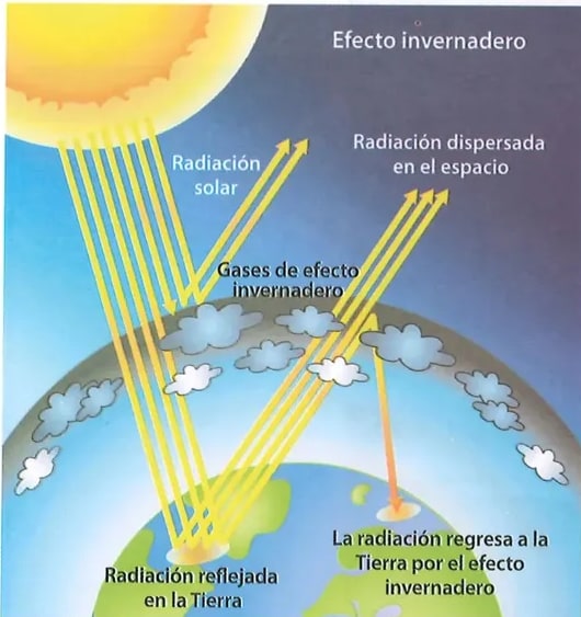 Figura 1 de Ciencias Naturales · 8 EGB · 2025
