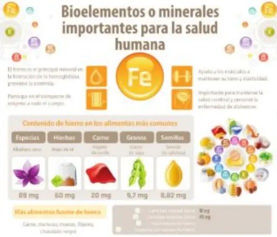 Figura 5 de Ciencias Naturales · 5 EGB · 2024