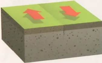 Figura 4 de Ciencias Naturales · 10 EGB · 2024