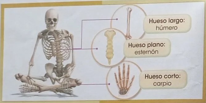 Secuencia de niños haciendo ejercicios y posturas correctas/incorrectas al sentarse.