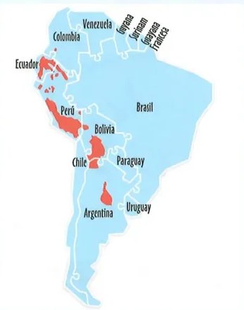 Figura 2 de Lengua Y Literatura · 2 EGB · 2025
