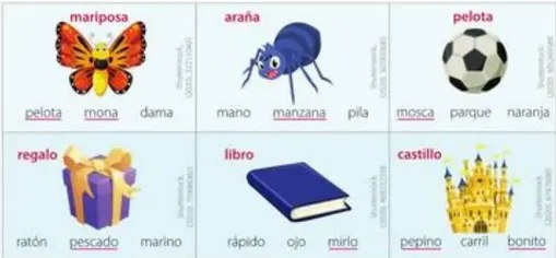 Figura 3 de Lengua Y Literatura · 5 EGB · 2024