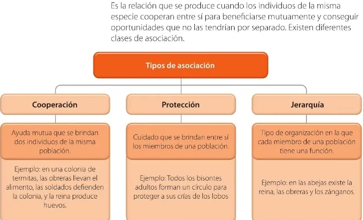 Figura 1 de Ciencias Naturales · 6 EGB · 2025