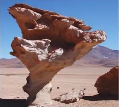 Figura 2 de Ciencias Naturales · 6 EGB · 2025