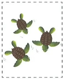 Figura 3 de Ciencias Naturales · 2 EGB · 2025