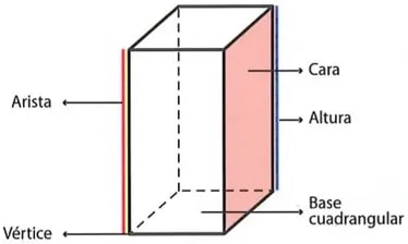 Figura 1 de Matematica · 8 EGB · 2025