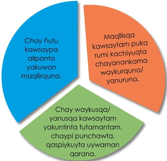 Figura 2 de Llaqtanchikpa kawsayninkuna - Chanka : saberes de los pueblos - Comunicación y Ciencia y Tecnología quechua, variante Chanca · 2021