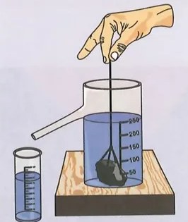 Figura 3 de Ciencias Naturales · 10 EGB · 2024