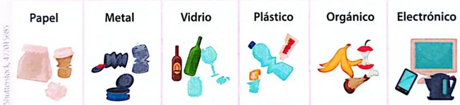 Figura 2 de Ciencias Naturales · 4 EGB · 2025