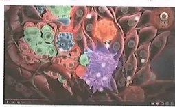 Figura 2 de Ciencias Naturales · 8 EGB · 2025