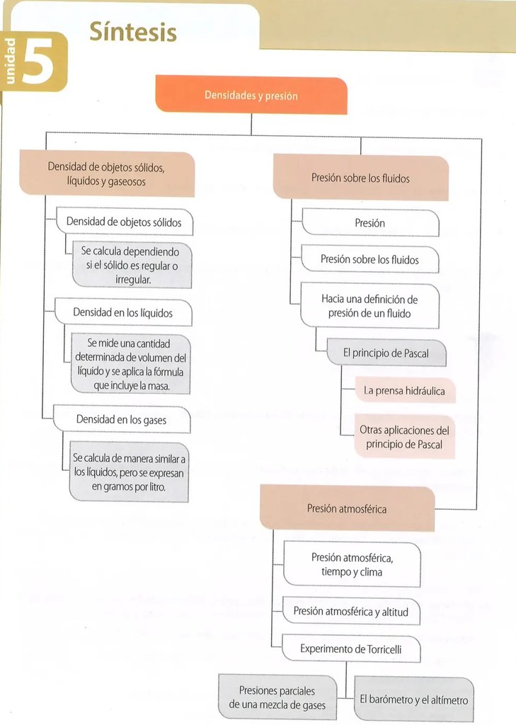 Figura 2 de Ciencias Naturales · 10 EGB · 2024