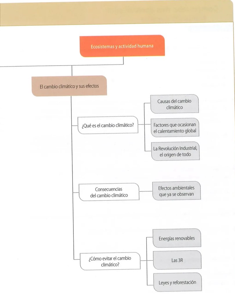 Figura 2 de Ciencias Naturales · 8 EGB · 2025