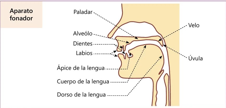 Figura 2 de Urin Qichwa Qillqay Yachana Mayt'u = Manual de escritura quechua sureño · 2021