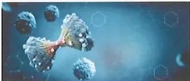 Figura 3 de Ciencias Naturales · 9 EGB · 2024