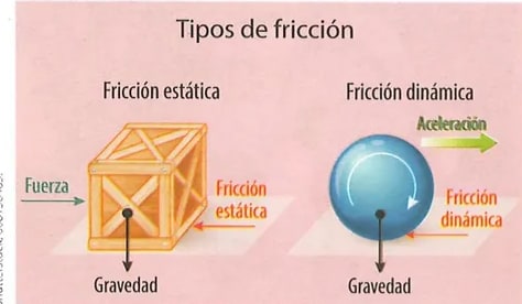 Figura 2 de Ciencias Naturales · 9 EGB · 2024