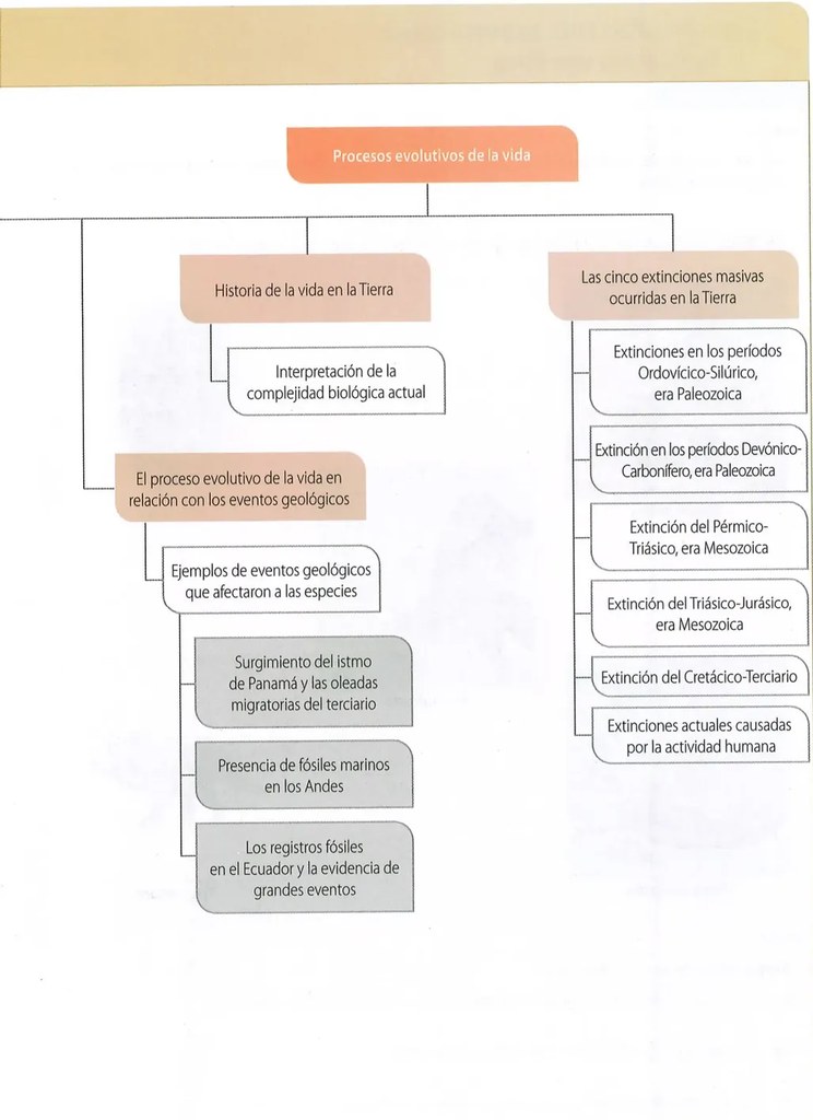 Figura 2 de Ciencias Naturales · 10 EGB · 2024