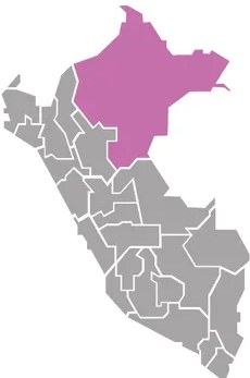 Figura 2 de Lenguas originarias del Perú · 2018