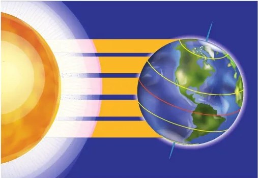 Figura 3 de Ciencias Naturales · 6 EGB · 2025