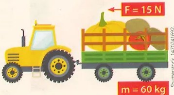 Figura 3 de Ciencias Naturales · 9 EGB · 2024
