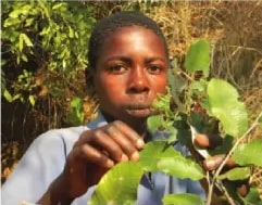 Fotografía de compatriotas del pueblo afroecuatoriano sembrando plantas medicinales en sus propias viviendas.