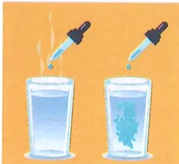 Figura 3 de Ciencias Naturales · 7 EGB · 2024