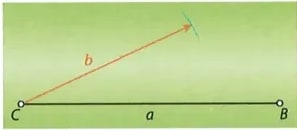 Figura 4 de Matematica · 8 EGB · 2025