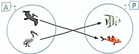 Figura 6 de Matematica · 4 EGB · 2024