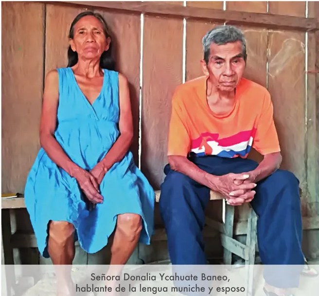Figura 2 de Lenguas originarias del Perú · 2018