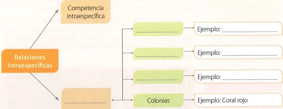 Figura 2 de Ciencias Naturales · 7 EGB · 2024