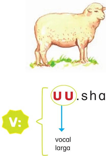 Diagrama didáctico con la palabra 'UU.sha' donde las letras UU aparecen destacadas en rojo sobre fondo blanco, con una etiqueta 'V:' en hexágono amarillo-verde y flecha azul apuntando al texto 'vocal larga'. Ilustra visualmente que <uu> es un dígrafo que representa una vocal larga.