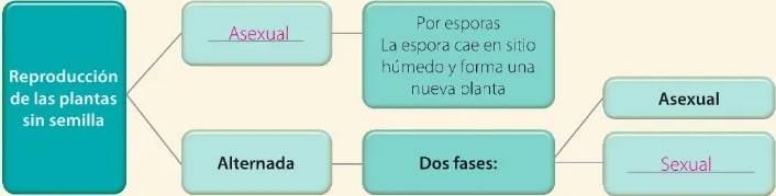 Figura 2 de Ciencias Naturales · 6 EGB · 2025