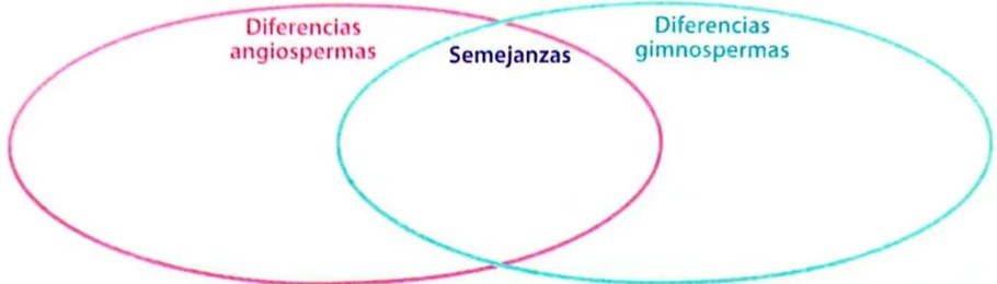 Figura 2 de Ciencias Naturales · 4 EGB · 2025